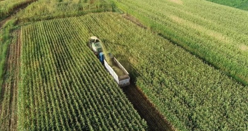 Tarım Sektörünü İlgilendiren Veriler Açıklandı