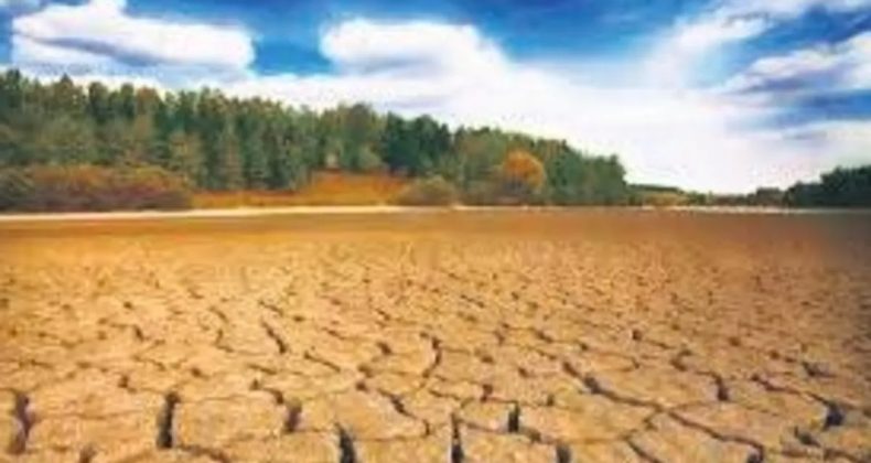 Tarımın Yeni Normali: İklim Değişikliğine Uyum
