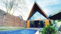 Tekin Ailesinin Bungalov Tatili Kâbusa Dönüşü