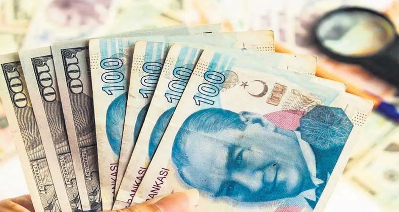 Türk Lirası’na Geçiş Hızlanacak
