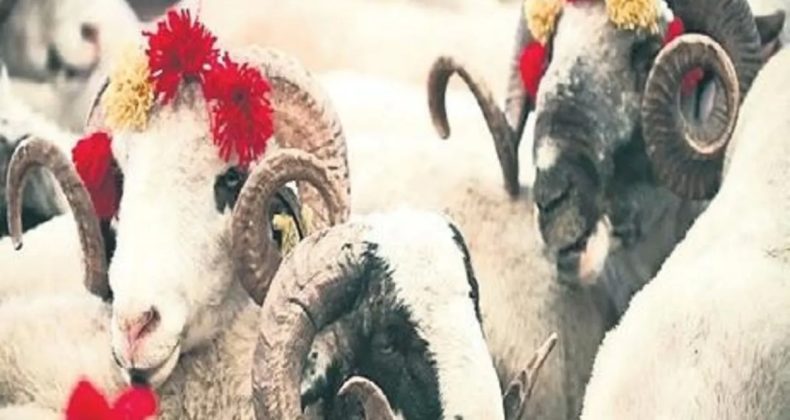 Türkiye Avrupa’da Yeniden İlk Sıraya Yükseldi