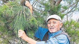 Türkiye’nin ‘orman dedesi’ne veda