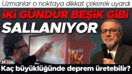 Uzmanlar Uyardı: Bingöl Beşik Gibi Sallanıyor! ‘Bölgede Stres Birikimi Fazla’, ‘Kısa Süre İçinde Büyük Deprem Olması Çok Olası’