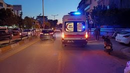 Yola fırlayan kedi kazaya neden oldu