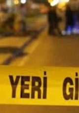 Yolun Karşısına Geçerken Hayatını Kaybetti