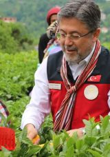 Yumaklı: 1 Milyon 300 Bin Ton Rekolte Bekliyoruz