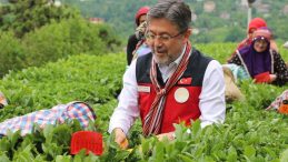 Yumaklı: 1 Milyon 300 Bin Ton Rekolte Bekliyoruz