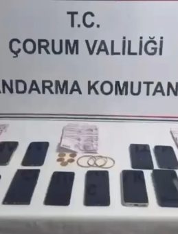 12 İl Genelinde Eş Zamanlı Dolandırıcılık Operasyonu: 230 Şüpheli Yakalandı, 93'ü Tutuklandı