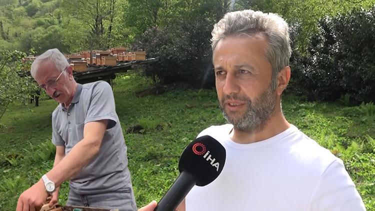 4 Yılda Bir Hasat Ediliyor… Faydaları Saymakla Bitmiyor Ancak Aşırı Tüketim Sağlık Sorunlarına Yol Açabiliyor