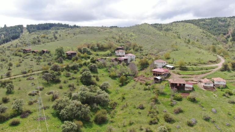 Kastamonu evleri