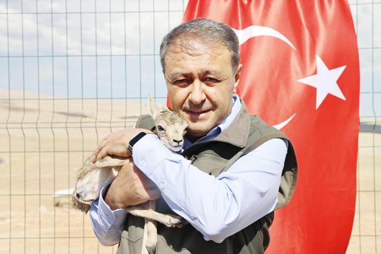Ceylan