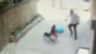 7 Yaşındaki Çocuğa Pitbull Saldırdı! Korkunç İddialar Ortaya Çıktı