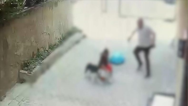 7 Yaşındaki Çocuğa Pitbull Saldırdı! Korkunç İddialar Ortaya Çıktı