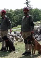 9 Ülkeden 27 Arama Kurtarma Köpeği İstanbul’daki Şampiyonada Yarıştı! Japonya Ekibi Şampiyon Oldu