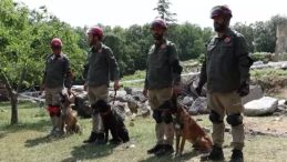 9 Ülkeden 27 Arama Kurtarma Köpeği İstanbul’daki Şampiyonada Yarıştı! Japonya Ekibi Şampiyon Oldu