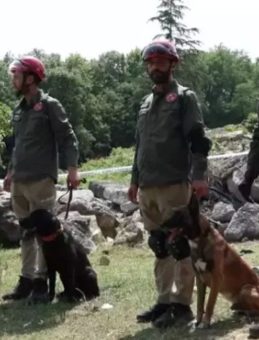 9 Ülkeden 27 Arama Kurtarma Köpeği İstanbul’daki Şampiyonada Yarıştı! Japonya Ekibi Şampiyon Oldu