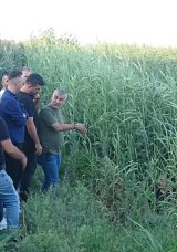 Adana'da Dere Kenarında Erkek Cesedi Keşfedildi!