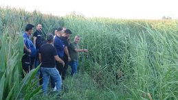 Adana'da Dere Kenarında Erkek Cesedi Keşfedildi!