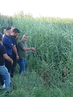 Adana'da Dere Kenarında Erkek Cesedi Keşfedildi!
