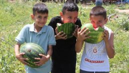 Adana'da Karpuz Bolluğu Devam Ediyor! Tarlada Fiyatta Şok Düşüş