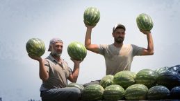 Adana’da Karpuz Fiyatları Düşüşe Geçti: 25 Liraya İndi