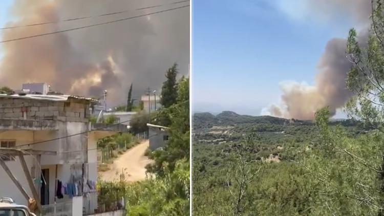 Adana’da Orman Yangını: Yerleşim Alanlarına Sıçramaması İçin Çaba Sarf Ediliyor