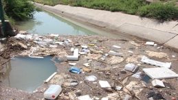 Adana’da Şok Edici Manzara! Uzmanlar Uyarıyor: Bu Suları Kullanmaktan Kaçının