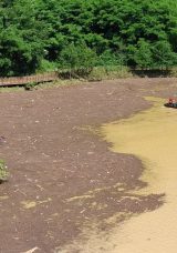 Akçaabat’ta Kayıp Hüseyin Aydın İçin Arama Çalışmaları 3. Güne Girdi