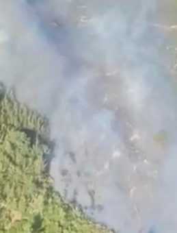 Alanya'da Ormanlık Alanda Yangın Çıktı