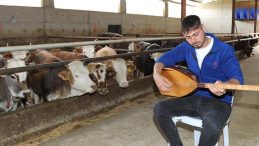 Ankaralı Besici, Hayvanları İçin Müzik Çalıyor