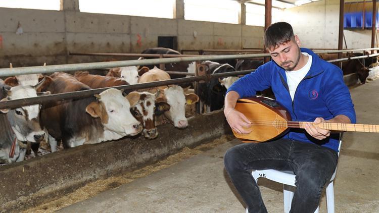 Ankaralı Besici, Hayvanları İçin Müzik Çalıyor
