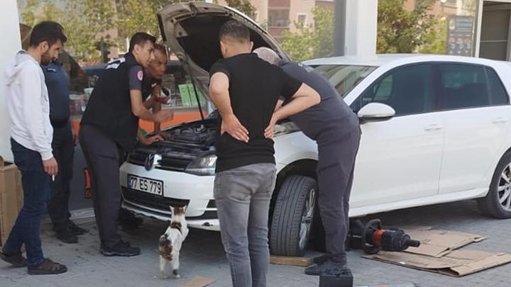 Anne Kedi, Yavrularını Kurtarana Kadar Araç Başında Bekledi