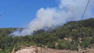 Antalya'da Orman Yangını: Havadan ve Karadan M&uuml;cadele Devam Ediyor