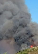 Antalya'daki Orman Yangını 3 Saat İ&ccedil;inde S&ouml;nd&uuml;r&uuml;ld&uuml;!