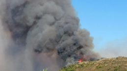 Antalya'daki Orman Yangını 3 Saat İçinde Söndürüldü!