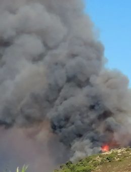 Antalya'daki Orman Yangını 3 Saat İçinde Söndürüldü!