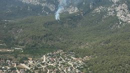 Antalya’da Orman Yangını: Hava ve Kara Ekipleri Müdahale Ediyor