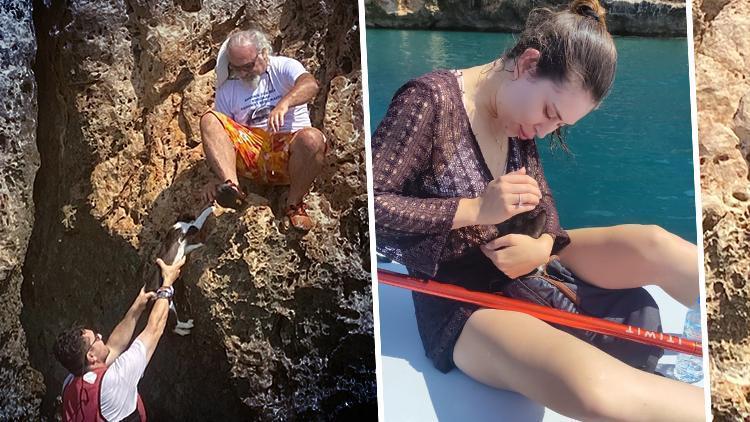 Antalya’da Şaşırtan Anlar! Tırmanış Yaparken Aniden Hareketlendiler… Hemşire Şeyda, Kucağında Severek Kıyıya Taşımayı Tercih Etti