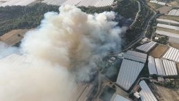 Antalya’da İki Farklı Noktada Orman Yangını! Ekipler Hızla Müdahale Ediyor