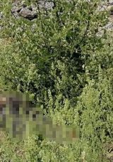 Antik Kentte Ot Toplayan Kadın, Kayalıklardan Düşerek Hayatını Kaybetti