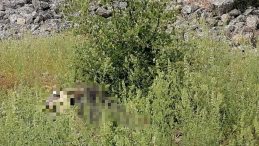 Antik Kentte Ot Toplayan Kadın, Kayalıklardan Düşerek Hayatını Kaybetti