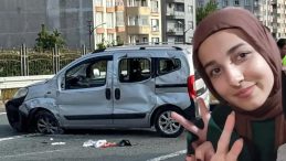 Araçta Arı Paniği İki Kardeşin Hayatına Mal Oldu