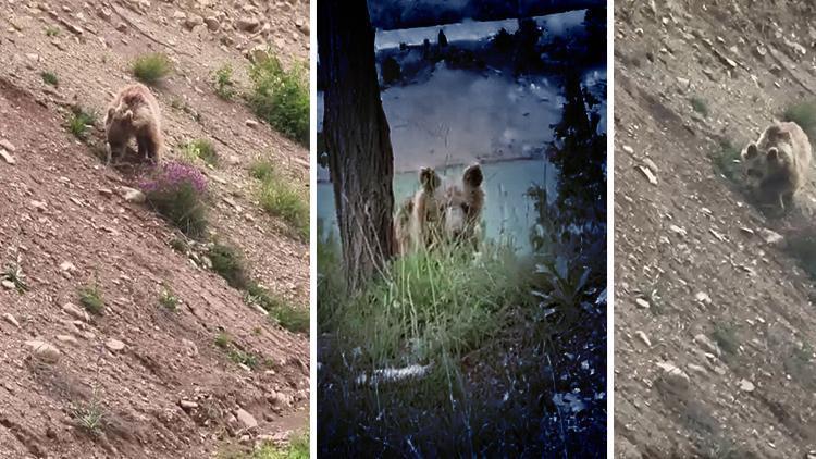 Arkadaş Grubu Gezi Esnasında Şaşkına Döndü: Sivas’ta Yiyecek Ararken Görüntülendi