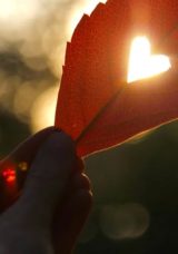 Aşk Sözleri 2025 – Sevgiliye Duygusal ve Romantik Sözler