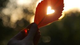 Aşk Sözleri 2025 – Sevgiliye Duygusal ve Romantik Sözler