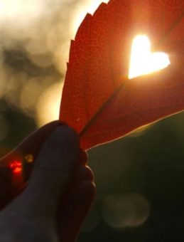 Aşk Sözleri 2025 – Sevgiliye Duygusal ve Romantik Sözler
