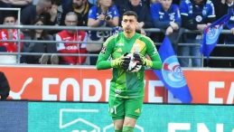 Aslan Kaleci Avında