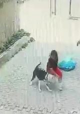 Ataşehir’de Pitbull Saldırısı: Sokakta Oyun Oynayan Çocuk Hayatını Kurtardı!