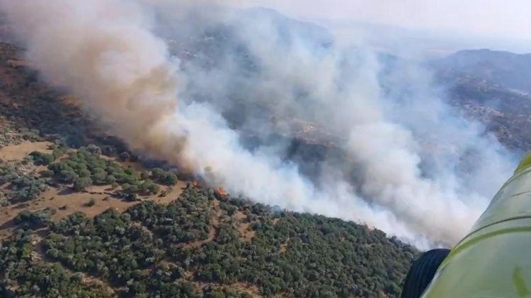 Aydın’da Korkutucu Orman Yangını