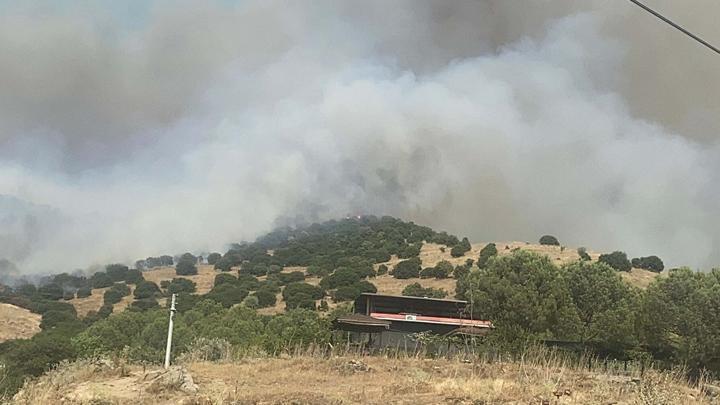 Aydın’da Orman Yangını: Hava ve Karadan Mücadele Devam Ediyor